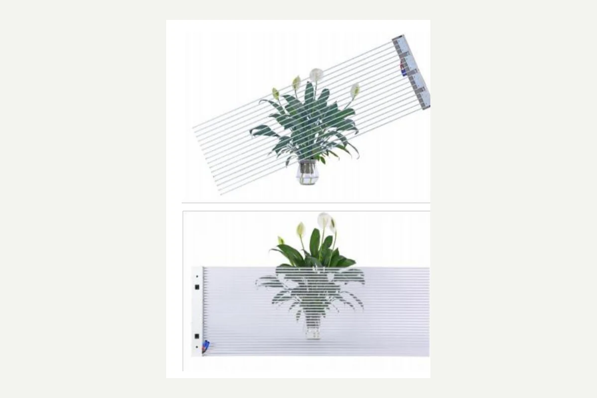 Transparent LED Display Types: Which Format Fits Your Site?